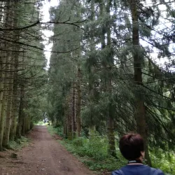 Bakuriani Botanical Garden - Bakuriani