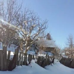 Bakuriani Botanical Garden - Bakuriani