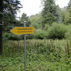 Bakuriani Botanical Garden - Bakuriani