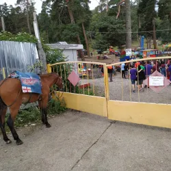 Bakuriani Children's Park - Bakuriani