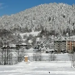 Bakuriani Ice Rink - Bakuriani