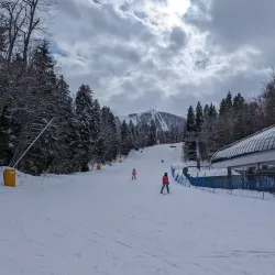 Bakuriani Ski Resort - Bakuriani