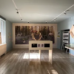 Borjomi-Kharagauli National Park - Bakuriani