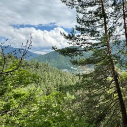 Borjomi-Kharagauli National Park - Bakuriani