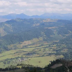 Kokhta Mountain - Bakuriani