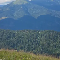 Kokhta Mountain - Bakuriani