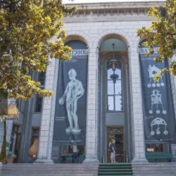 Batumi Archaeological Museum - Batumi