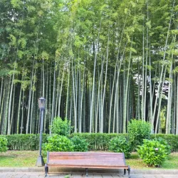 Batumi Boulevard - Batumi