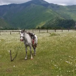 Borjomi Cable Car - Borjomi