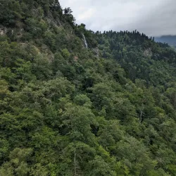 Borjomi Cable Car - Borjomi
