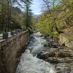 Borjomi Central Park - Borjomi