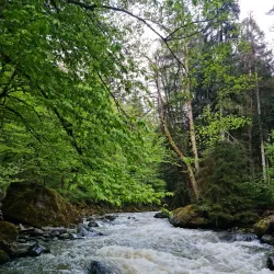 Borjomi Central Park - Borjomi