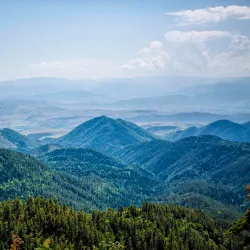 Borjomi-Kharagauli National Park - Borjomi
