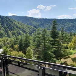 Likani Palace - Borjomi