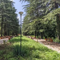 Gurjaani Central Park - Gurjaani