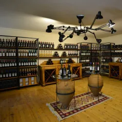 Kakheti Wine Region - Gurjaani