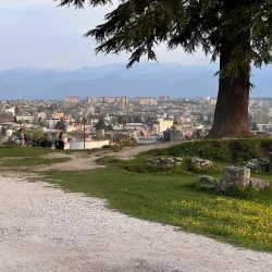 Bagrati Cathedral - Kutaisi