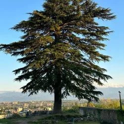 Bagrati Cathedral - Kutaisi