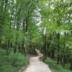 Sataplia Cave - Kutaisi
