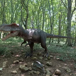 Sataplia Nature Reserve - Kutaisi