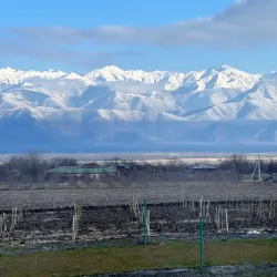 Alazani Valley - Kvareli