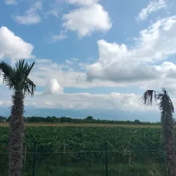 Alazani Valley - Kvareli