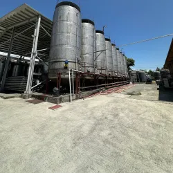 Kindzmarauli Wine Festival - Kvareli