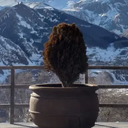 Kvareli Fortress - Kvareli