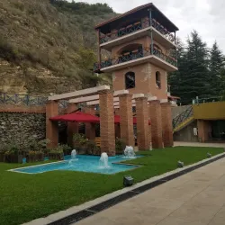 Local Vineyards and Wineries - Kvareli