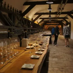 Local Vineyards and Wineries - Kvareli