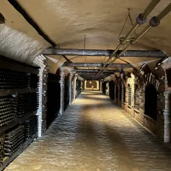 Local Vineyards and Wineries - Kvareli