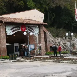 Local Vineyards and Wineries - Kvareli