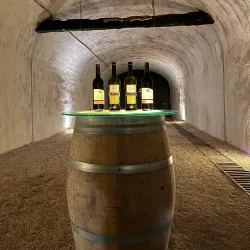 Local Vineyards and Wineries - Kvareli