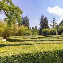 Tsinandali Estate - Kvareli