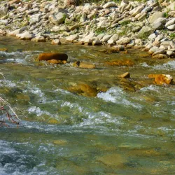 Alazani River - Lagodekhi