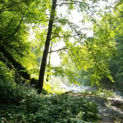 Lagodekhi Botanical Garden - Lagodekhi