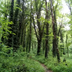 Lagodekhi Botanical Garden - Lagodekhi