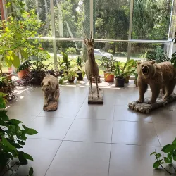 Lagodekhi Botanical Garden - Lagodekhi