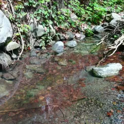 Lagodekhi National Park - Lagodekhi