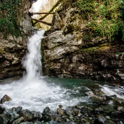 Lagodekhi National Park - Lagodekhi