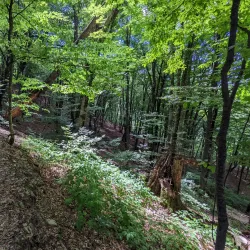 Lagodekhi National Park - Lagodekhi