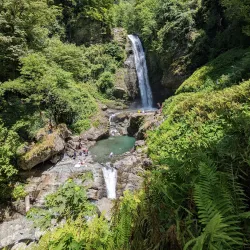 Lagodekhi Protected Areas - Lagodekhi