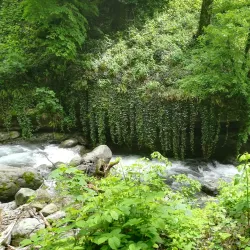 Lagodekhi Protected Areas - Lagodekhi