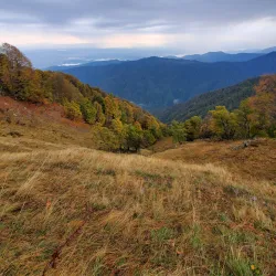 Tamariani Trail - Lagodekhi
