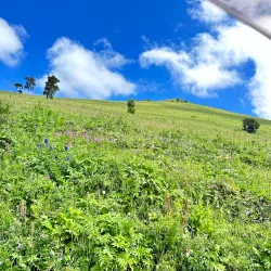 Ktsia-Tabatskuri Managed Reserve - Marneuli