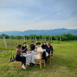 Local Vineyards and Wineries - Marneuli