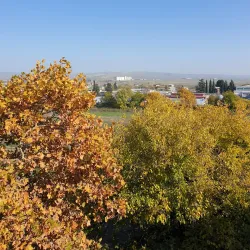 Marneuli Mosque - Marneuli