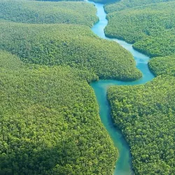 Kolkheti National Park - Poti