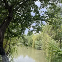 Rustavi Central Park - Rustavi