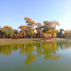 Rustavi Children's Park - Rustavi
